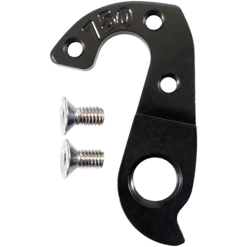 D750 derailleur hanger