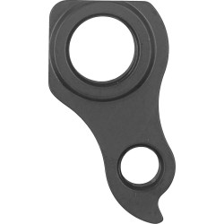 D1163 Derailleur hanger