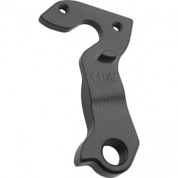Patte de dérailleur D1169