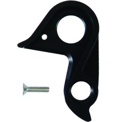 D768 derailleur hanger BMC