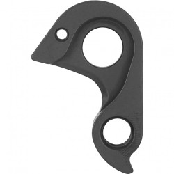 D1152 Derailleur hanger