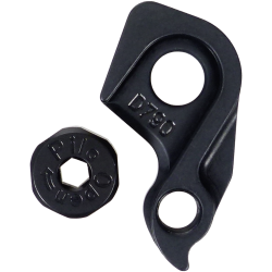 D790 ROCKY MOUNTAIN derailleur hanger