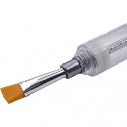Seringue de graissage 10ML - Kit d'embouts et de brosses inclus