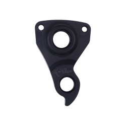 D950 derailleur hanger