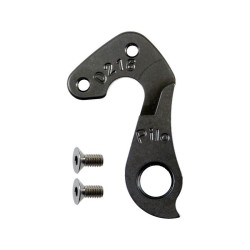 D216 derailleur hanger FOCUS
