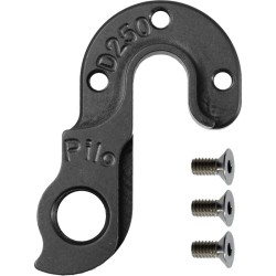 D250 derailleur hanger CANYON 19