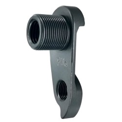 D989 Derailleur hanger