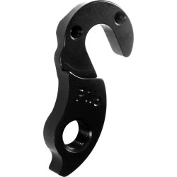 D313 Derailleur hanger