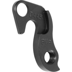 D445 derailleur hanger FOCUS