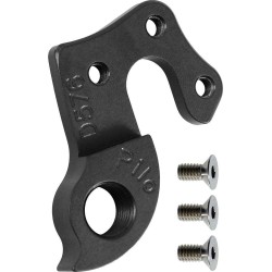 D576 derailleur hanger