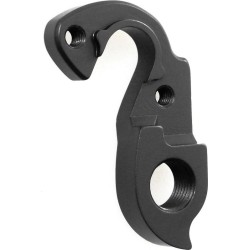 D581 derailleur hanger