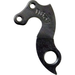 D631 derailleur hanger