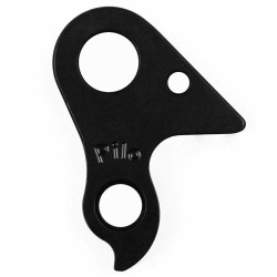 D737 derailleur hanger