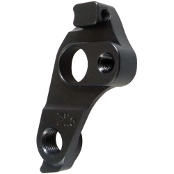 D742 GIANT derailleur hanger