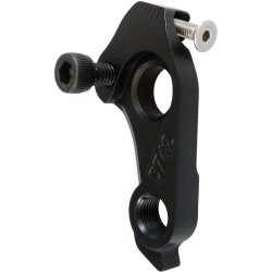 D742 GIANT derailleur hanger