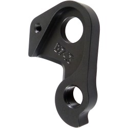 D743 derailleur hanger