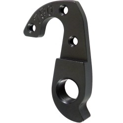 D750 derailleur hanger