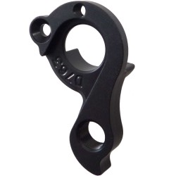 D763 derailleur hanger