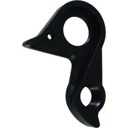 D768 derailleur hanger BMC