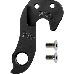 D101 derailleur hanger YETI