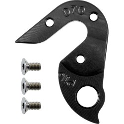 D70 derailleur hanger