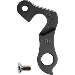 D122 derailleur hanger