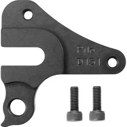 D151 derailleur hanger