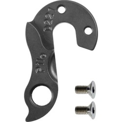 D221 derailleur hanger