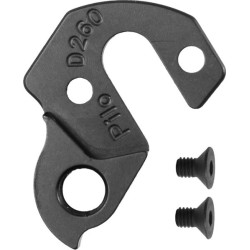 D260 derailleur hanger GT