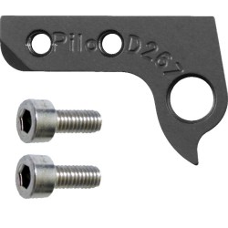 D267 derailleur hanger ASTRIX