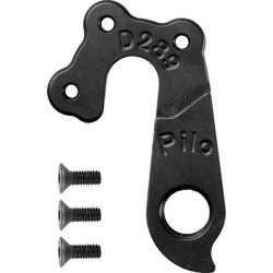 D289 derailleur hanger