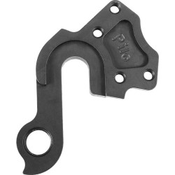D308 derailleur hanger TITUS