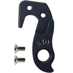 D840 derailleur hanger