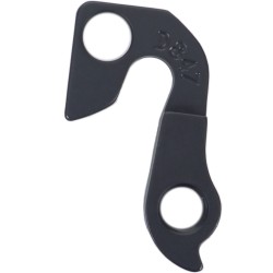 D847 Derailleur hanger