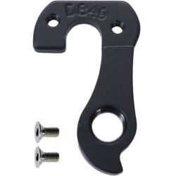 D849 derailleur hanger