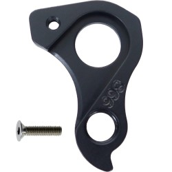 D866 derailleur hanger