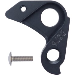 D876 derailleur hanger