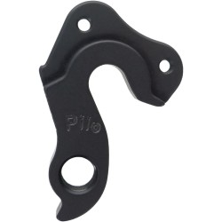 D891 derailleur hanger