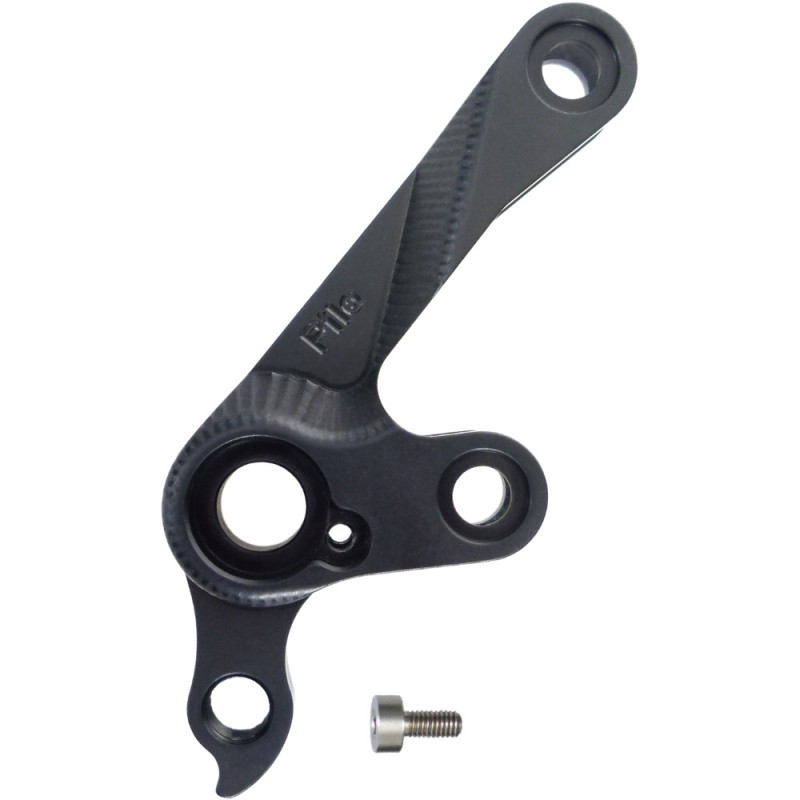 D905 derailleur hanger D905 derailleur hanger