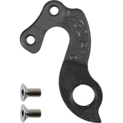 D432 derailleur hanger