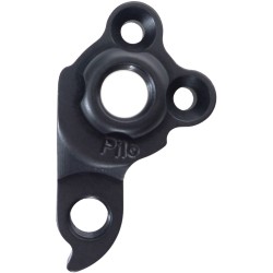 D812 derailleur hanger