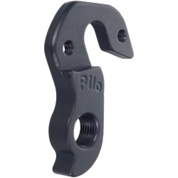 D820 Derailleur hanger