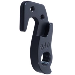 D840 derailleur hanger