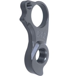 D842 Derailleur hanger