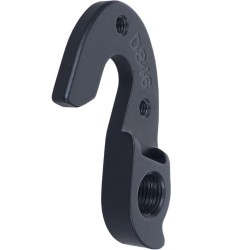D846 Derailleur hanger