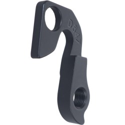D847 Derailleur hanger
