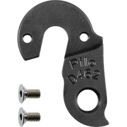 D462 derailleur hanger