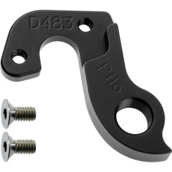 D483 derailleur hanger