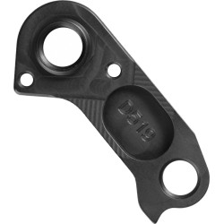 D519 derailleur hanger GT Direct Mount