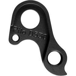 D530 derailleur hanger